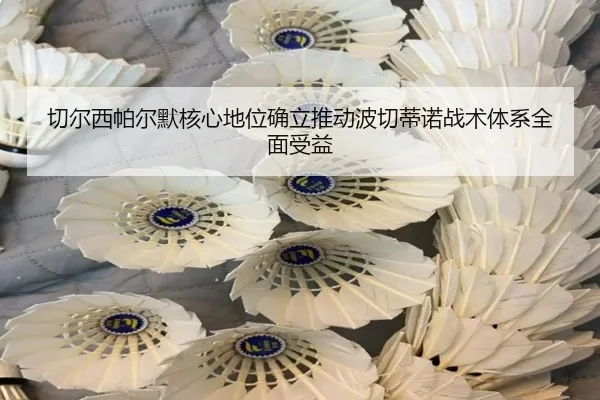 切尔西帕尔默核心地位确立推动波切蒂诺战术体系全面受益